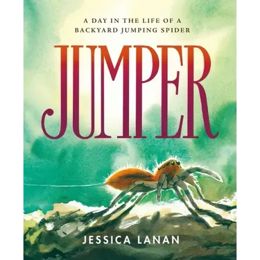 Jumper: A Day in the Life of a Backyard Jumping Spider