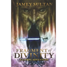 Fragment of Divinity: A Litrpg Adventure