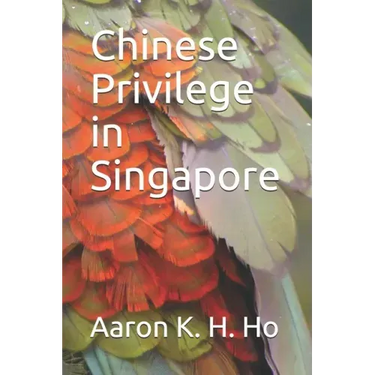Is It Because I'm Chinese?: Chinese Privilege in Singapore
