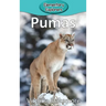 Pumas