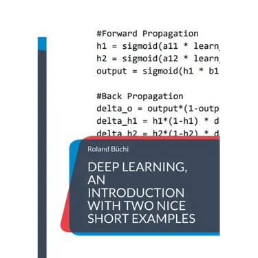 Deep Learning, an introduction with two nice short examples