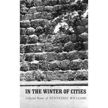 In the Winter of Cities: Poetry