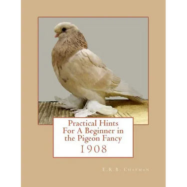 Practical Hints For A Beginner in the Pigeon Fancy