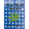 Snow Wind and Ice
