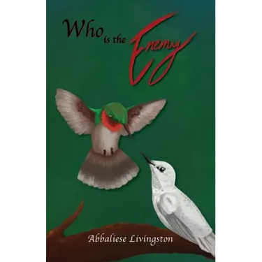 Who is the Enemy