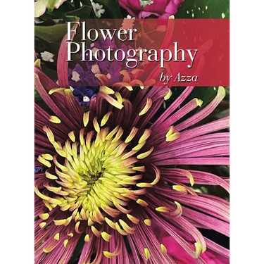 Flower Photography by Azza