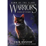 Warriors: Dawn of the Clans #6: Path of Stars