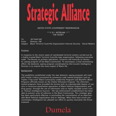 Strategic Alliance