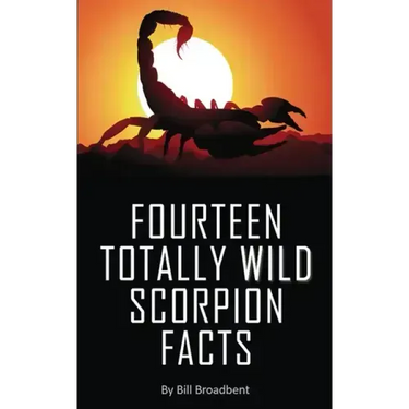 Fourteen Totally Wild Scorpion Facts: Fun, educational and full of color pics and graphics!