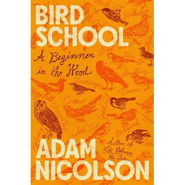 Bird School: A Beginner in the Wood
