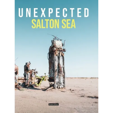 Unexpected: Salton Sea