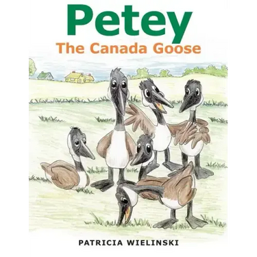 Petey: The Canada Goose