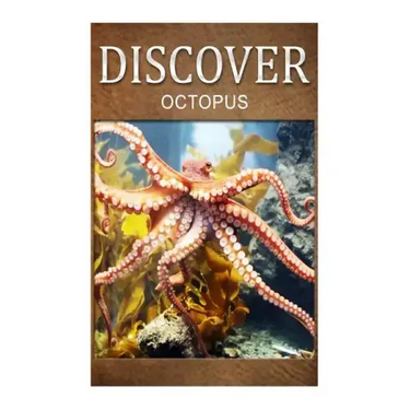 Octopus - Discover: Early reader's wildlife photography book
