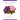 African Violets Back to the Basics: Your Questions Answered