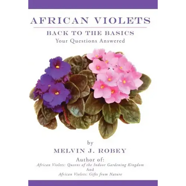 African Violets Back to the Basics: Your Questions Answered