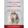 Cantelon's Casual Commentary: A 21st Century Guide to the Life of Jesus for the Internet Generation