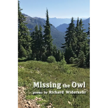 Missing the Owl