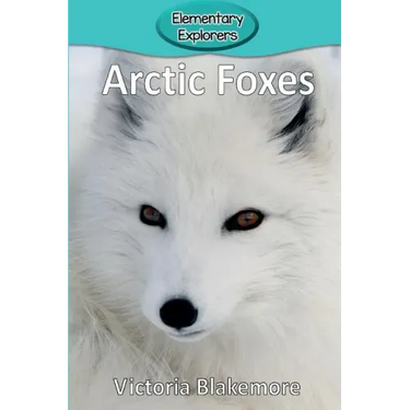 Arctic Foxes