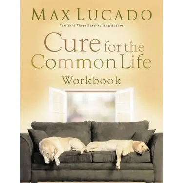 Cure for the Common Life Small Group Study