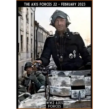 The Axis Forces 22