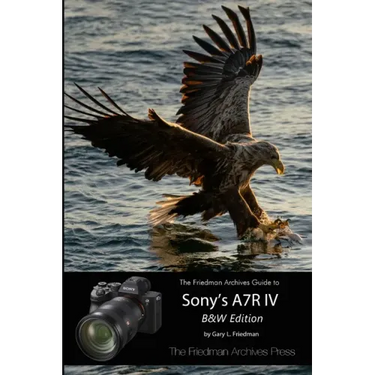 The Friedman Archives Guide to Sony's A7R IV (B&W Edition)