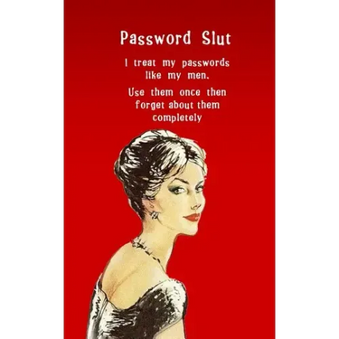Password Slut: Internet security password with 312 sections for internet passwords for addresses and usernames, humorous cover A-Z index