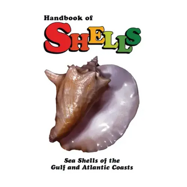 Handbook of Shells: Sea Shells of the Gulf and Atlantic Coasts