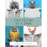 One Flush at a Time