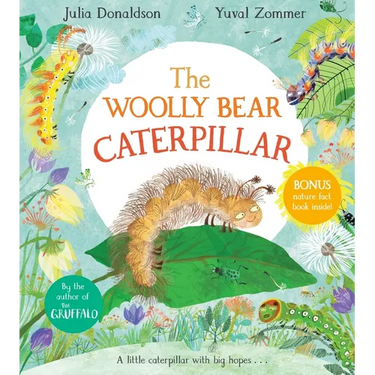 The Woolly Bear Caterpillar
