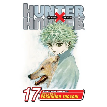 Hunter X Hunter, Vol. 17: A Fierce Three-Way Struggle