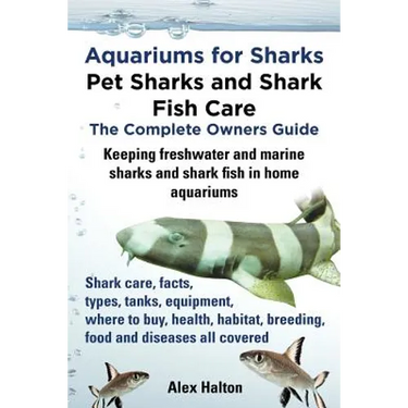 Aquariums for Sharks. Keeping Aquarium Sharks and Shark Fish. Shark Care, Tanks, Species, Health, Food, Equipment, Breeding, Freshwater and Marine All