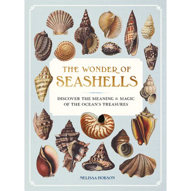 The Wonder of Seashells: Discover the Meaning & Magic of the Ocean's Treasures