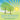 Light is Everywhere: Sources of Light and Its Uses (For Early Learners)