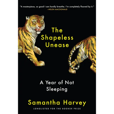 The Shapeless Unease: A Year of Not Sleeping