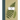 Vintage Prints: Ferns: Vol. 9