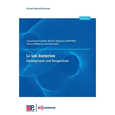 Li-Ion Batteries: Development and Perspectives