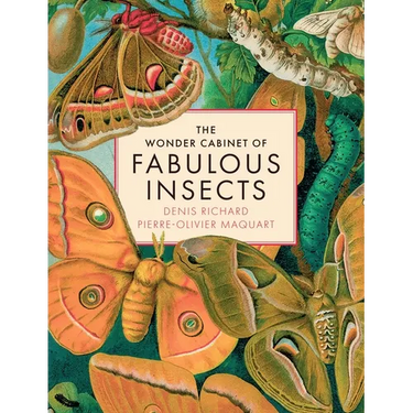 The Wonder Cabinet of Fabulous Insects: Secrets of the World's Rarest and Strangest Insects