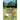Who's Who of African Golf