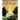 Journey