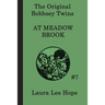 The Bobbsey Twins at Meadow Brook