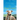 The Dog I Loved