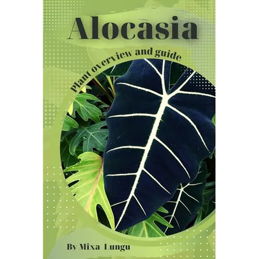Alocasia: Plant overview and guide