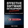 Effective Software Development for Enterprise: Beyond DDD, Software Architecture, and XP