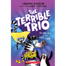 The Mystery of the Lost Cape (the Terrible Trio #3)