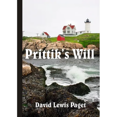Prittik's Will