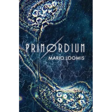 Primordium