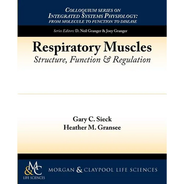 Respiratory Muscles: Structure, Function, and Regulation
