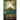 The Enlightened (Mind Dimensions Book 3)