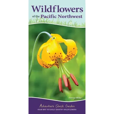 Wildflowers of the Pacific Northwest: Your Way to Easily Identify Wildflowers