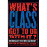What's Class Got to Do with It?: American Society in the Twenty-First Century